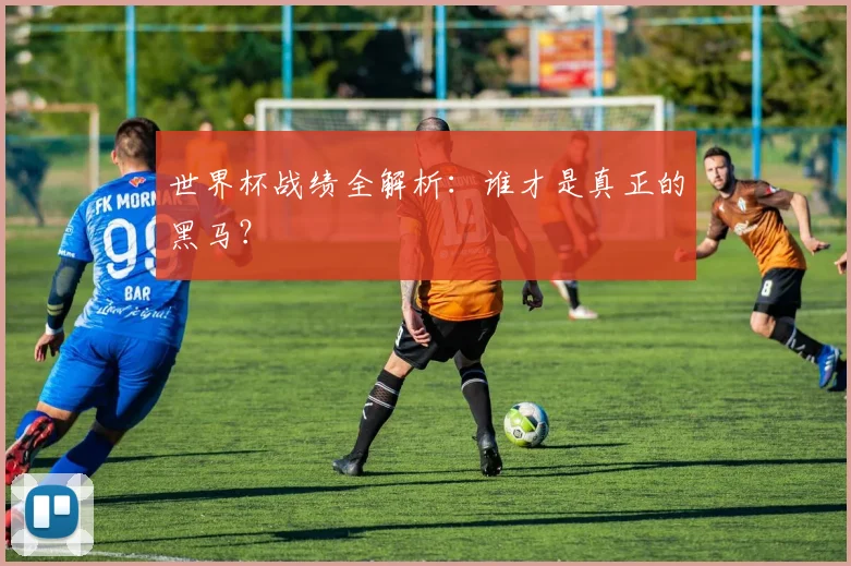 世界杯战绩全解析：谁才是真正的黑马？