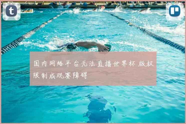 国内网络平台无法直播世界杯 版权限制成观赛障碍