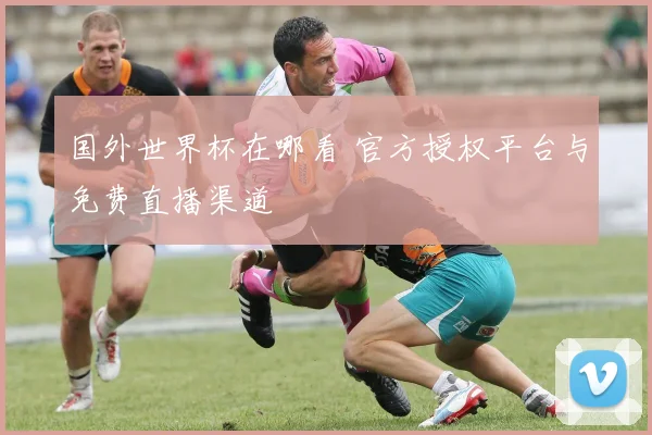 国外世界杯在哪看 官方授权平台与免费直播渠道