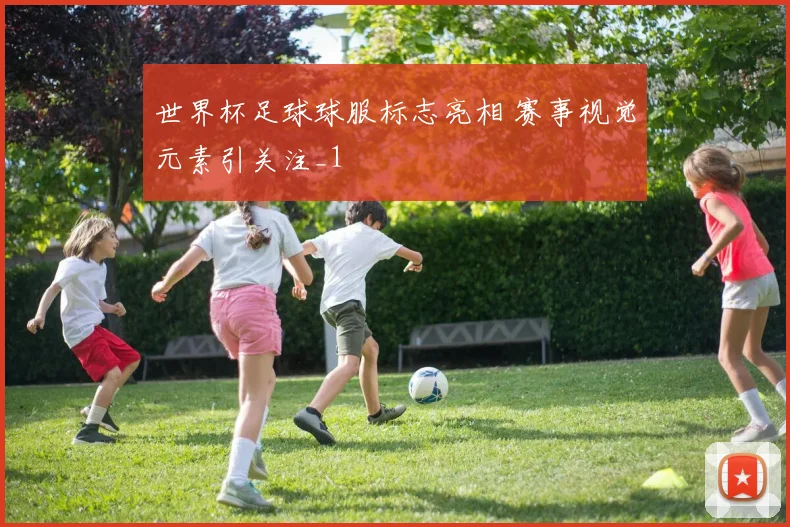 世界杯足球球服标志亮相 赛事视觉元素引关注_1