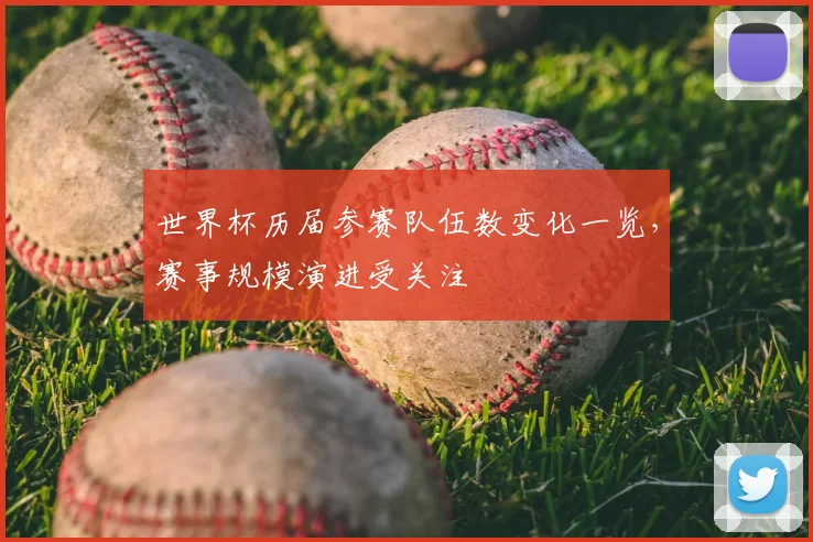 世界杯历届参赛队伍数变化一览,赛事规模演进受关注