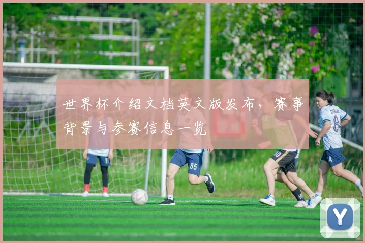 世界杯介绍文档英文版发布，赛事背景与参赛信息一览