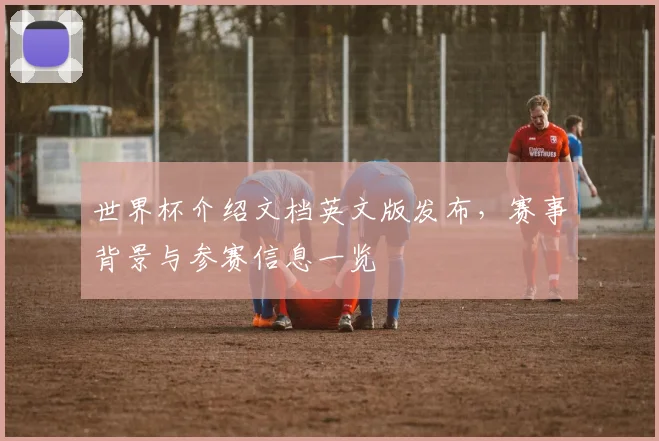 世界杯介绍文档英文版发布，赛事背景与参赛信息一览