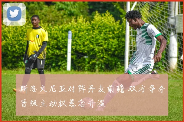 斯洛文尼亚对阵丹麦前瞻 双方争夺晋级主动权悬念升温